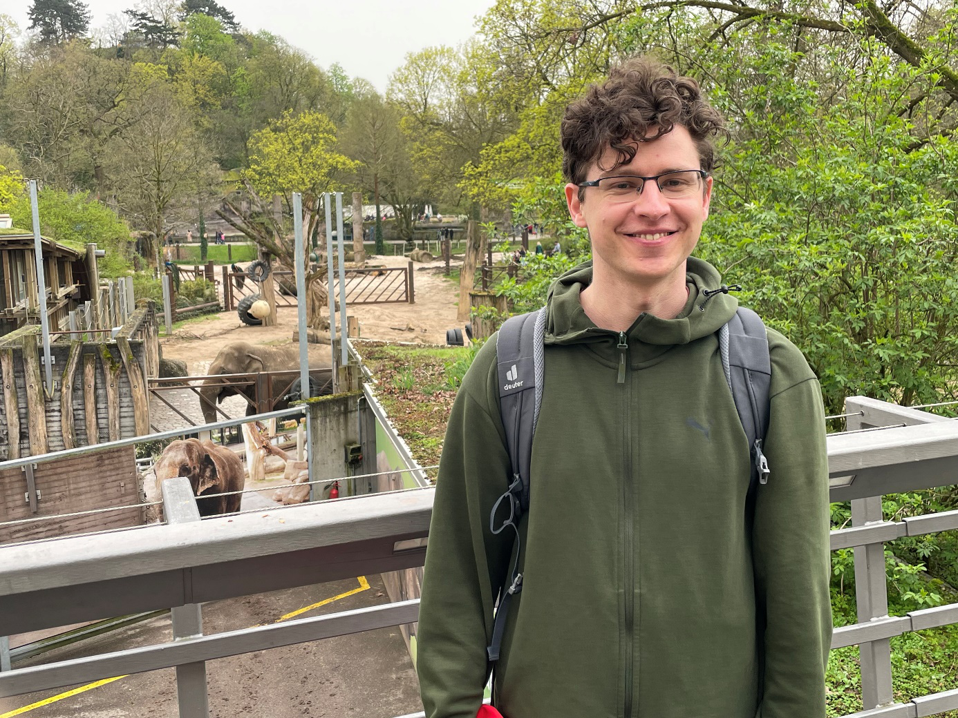 Elefanten_im_Zoo